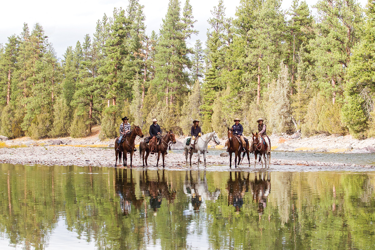 Riders on horses for a trail riding vacation in Montana