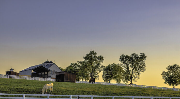 A horse farm. Boarding operations can lead to common legal issues in the horse world.