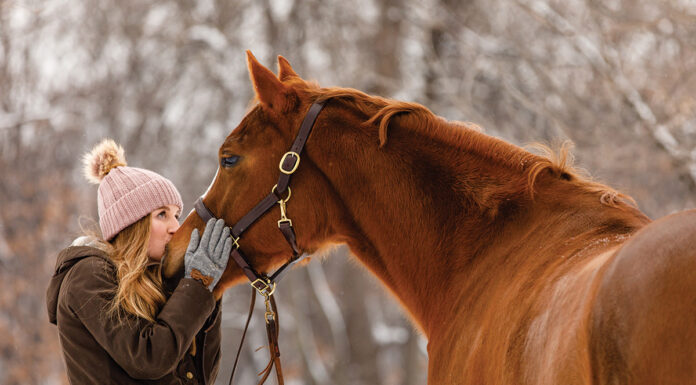 A woman kisses a horse's nose. In this article, we discuss how to find a safe landing for your horse.