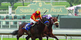 horse racing at santa anita