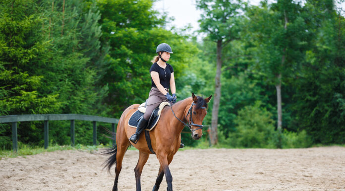 A rider trotting her goals, using SMART Goals to achieve objectives