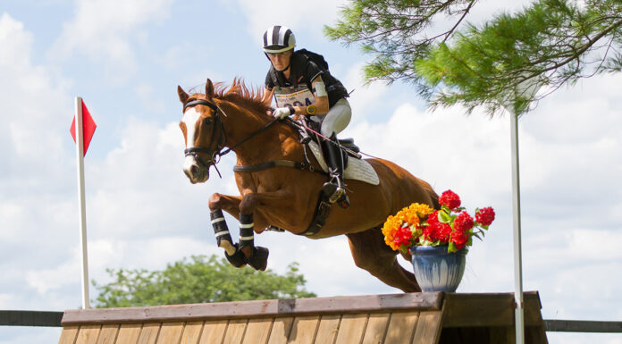 An equestrian jumps a horse over a cross country fence