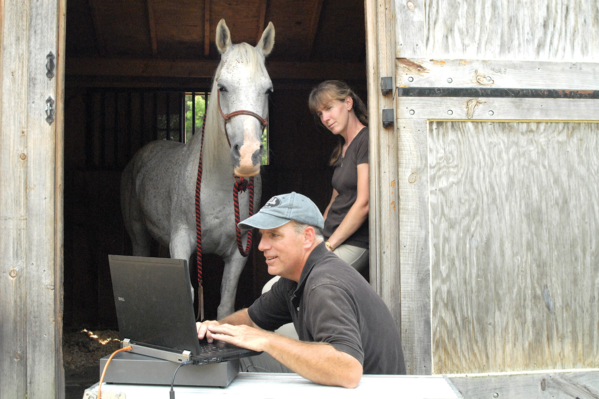 A vet reviews a horse's diagnosis to give a second opinion