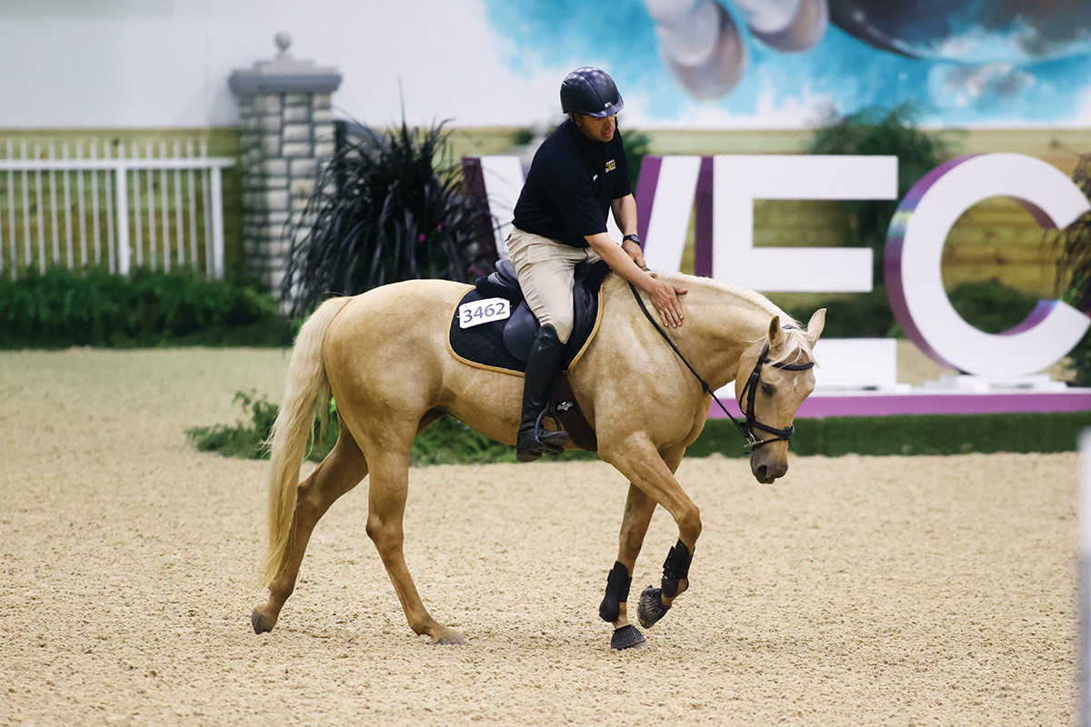 A trainer praises a palomino horse