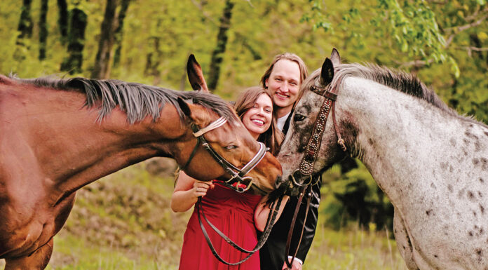 An engagement photo of a couple with two horses