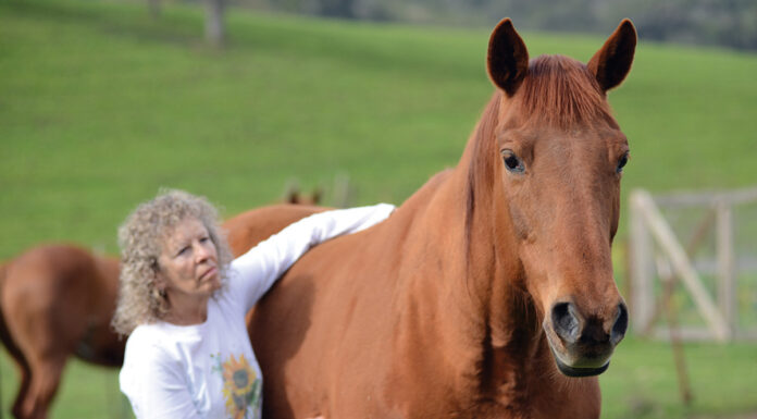 A woman practices somatic horsemanship with her horse