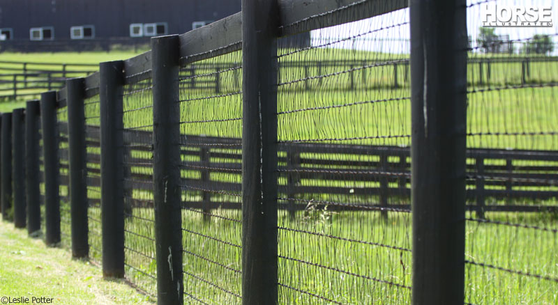 V-mesh wire fencing on a horse farm