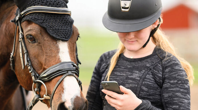 An equestrian checks her phone
