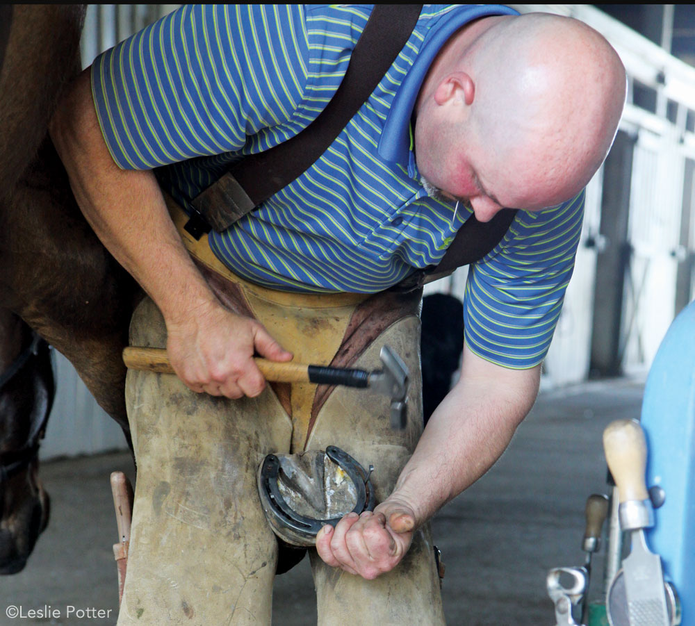 Farrier working on a horse's hoof. Farriers are a cost of horse ownership.
