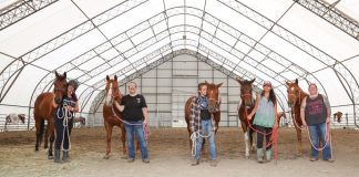Serenity Ranch Equine Therapy