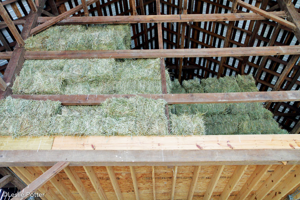 Hay stored in a hay loft