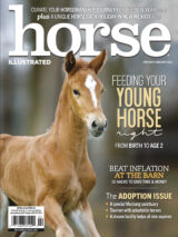 Horse Illustrated January/February 2023 cover with young horse.