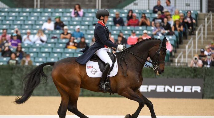Tom McEwen during first day of dressage at Kentucky Three-Day