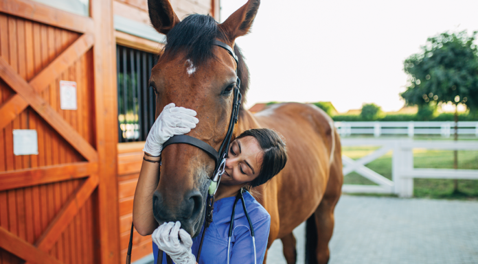 A vet hugs a horse. However, there is an equine vet shortage in the United States.