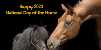 2020 National Day of the Horse