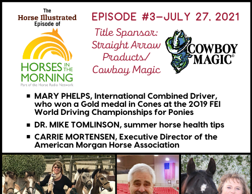 Horse Illustrated Podcast - Episode 3 - Mary Phelps - Summer Health Tips - Morgan Horse Breed